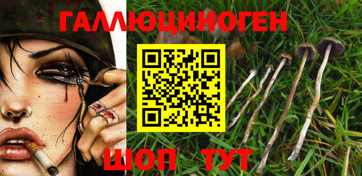 Галлюциногенные грибы GOLDEN TEACHER Асино
